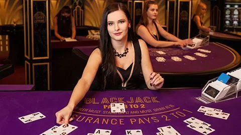 Hỗ trợ VIP 24/7